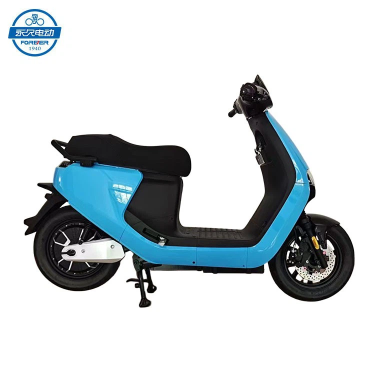 Electric Scooter Adults